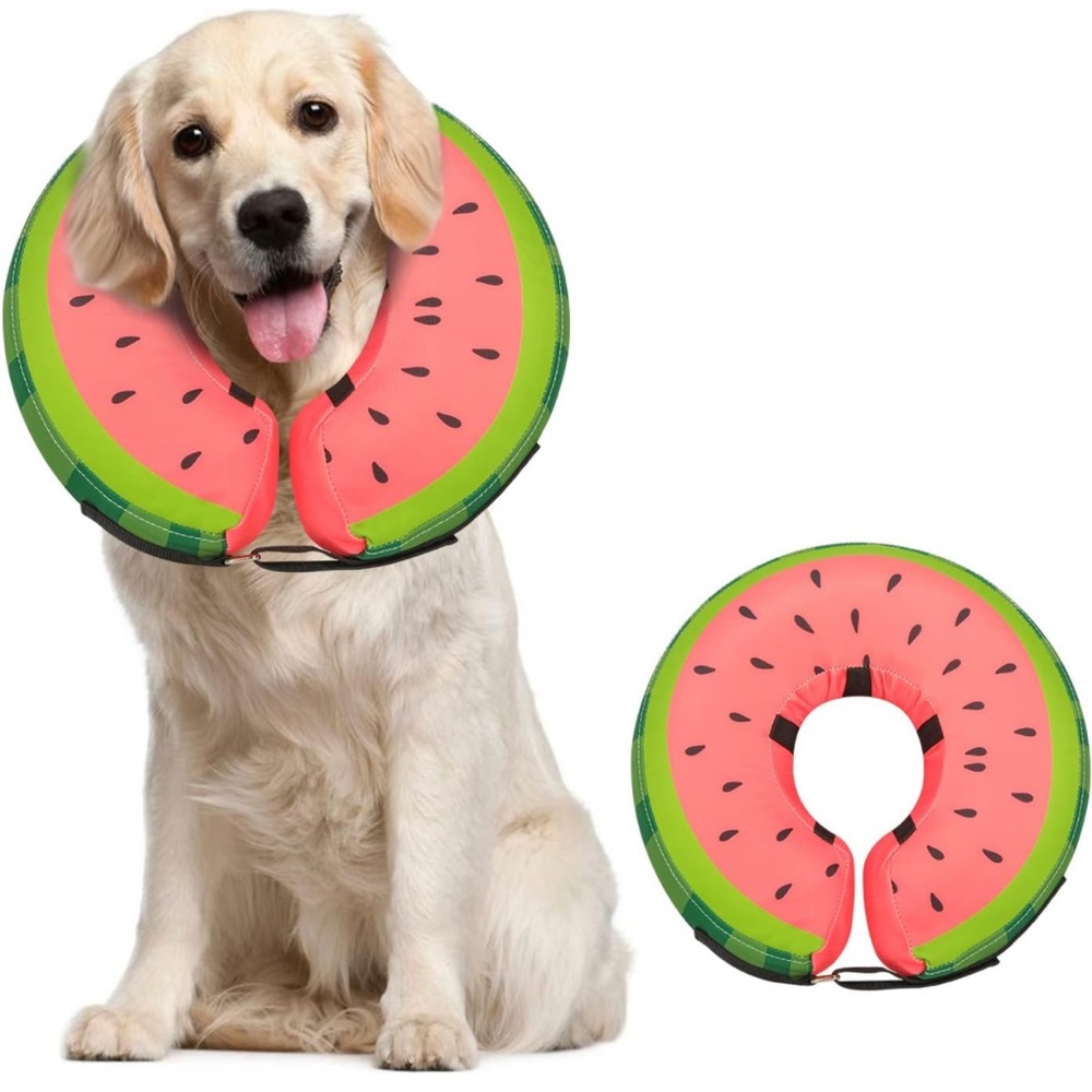 Dog Cone Collar
